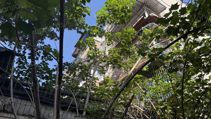 玉林东路5号外景图