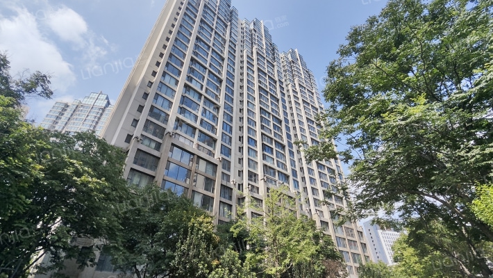 鑫域国际外景图