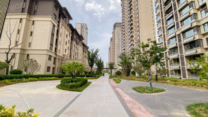 金科礼悦东方外景图