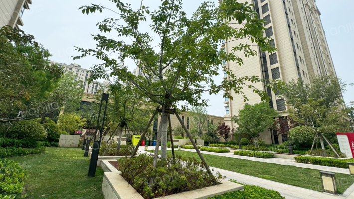 金茂悦西六区外景图