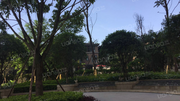 金河谷四期外景图