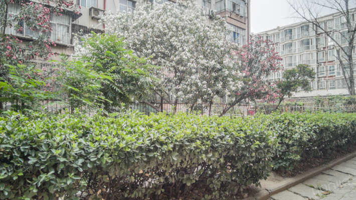 华北水利大学家属院外景图