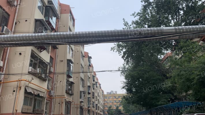 棉一西区外景图