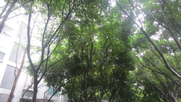 渝能都市经典外景图