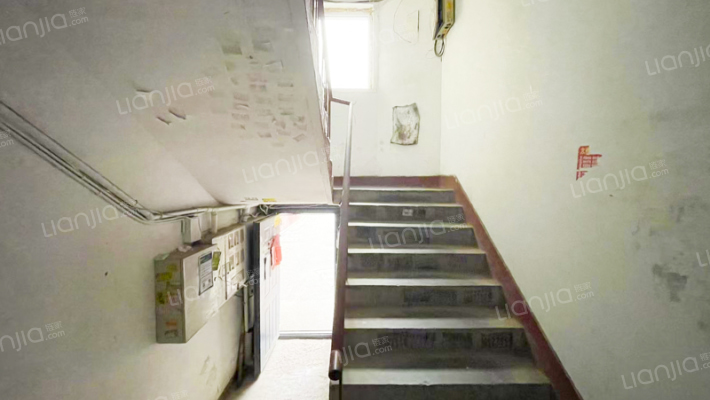 南海东街北二巷6号外景图