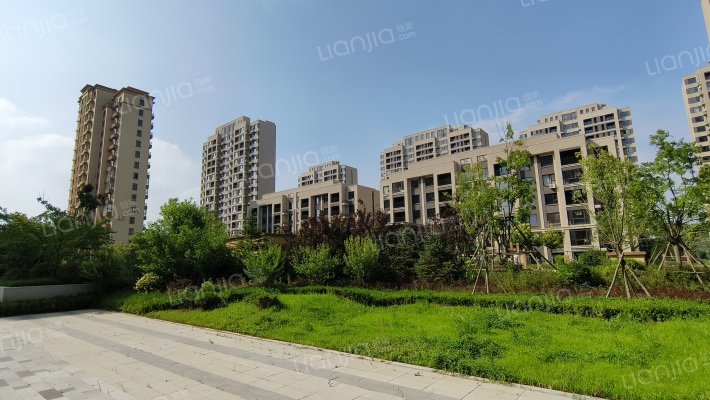 橘郡印象外景图