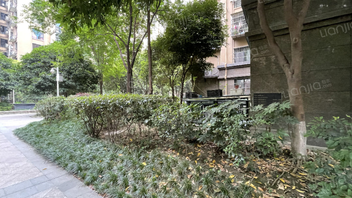 成都巴黎都市二期相册