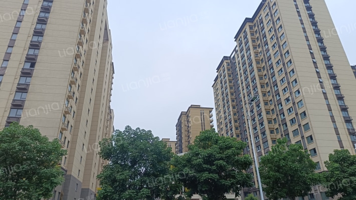 泰睿华府外景图