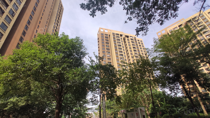 万科翡丽山外景图