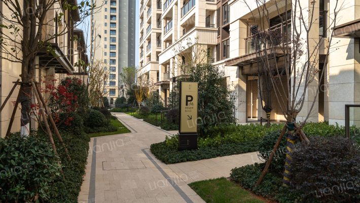 大家映江南外景图