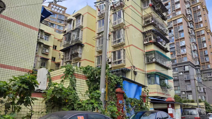 南丰小筑外景图