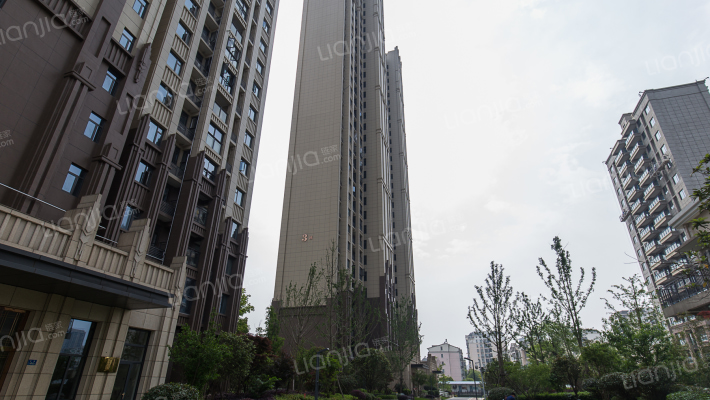 全景外滩外景图