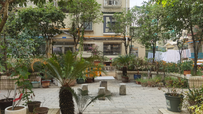 新星家园外景图