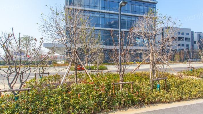 稻谷国际互联网产业园外景图