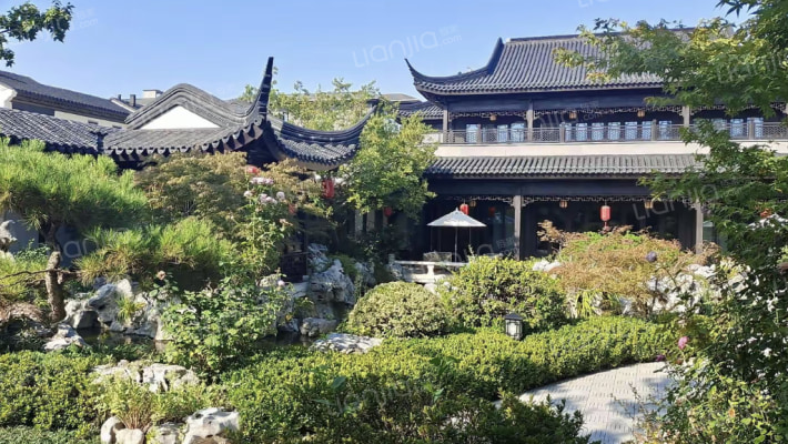 蓝城潍坊·桃李春风外景图