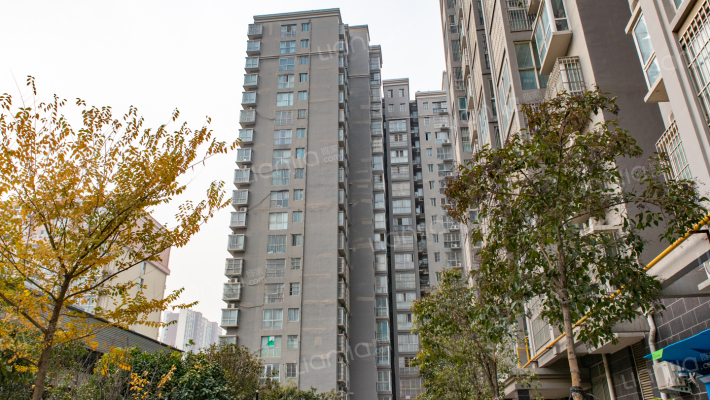 城市之星外景图