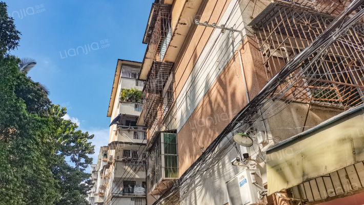 无线电五厂宿舍外景图