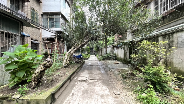 罗汉营路14号外景图