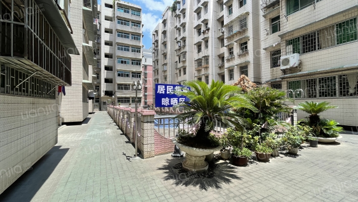 文教厂小区外景图