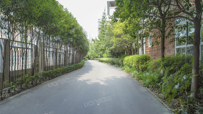 博雅桂湖郡外景图