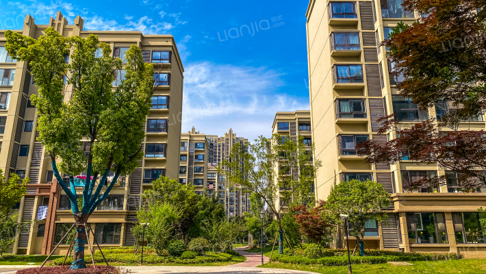 上品花园外景图