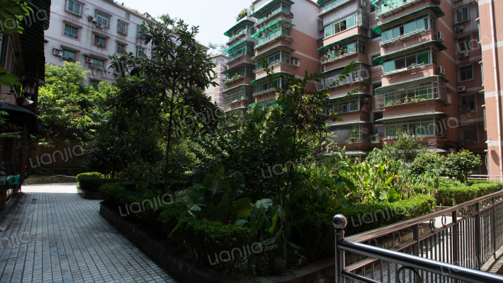 龙舟花园外景图