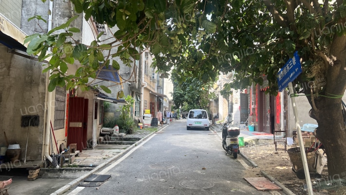 独树根东路三巷外景图