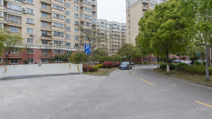 蓝色收获(板桥东路1200弄)外景图