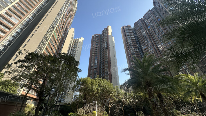 鑫月御园外景图