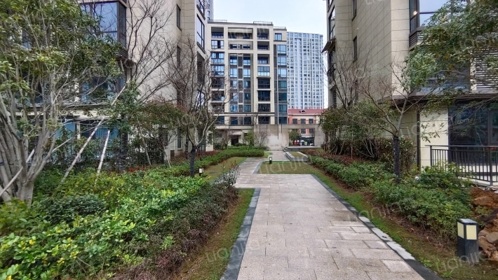 朗臻丰泽苑外景图