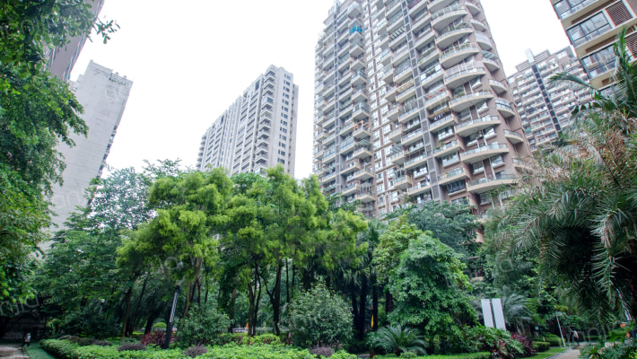 隆源国际花园外景图