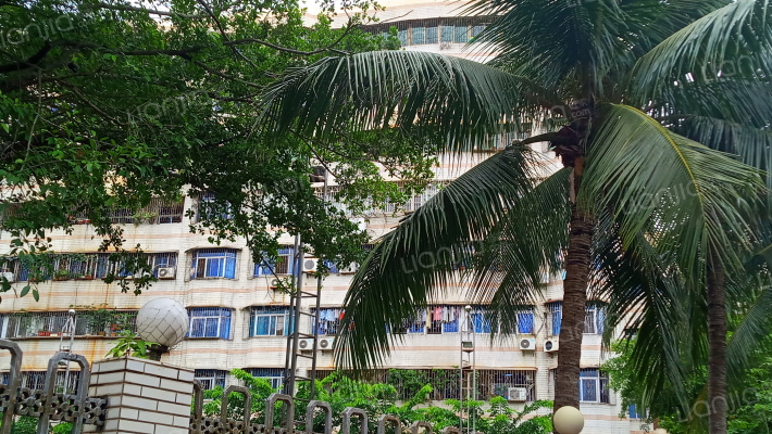 交通运输厅宿舍外景图