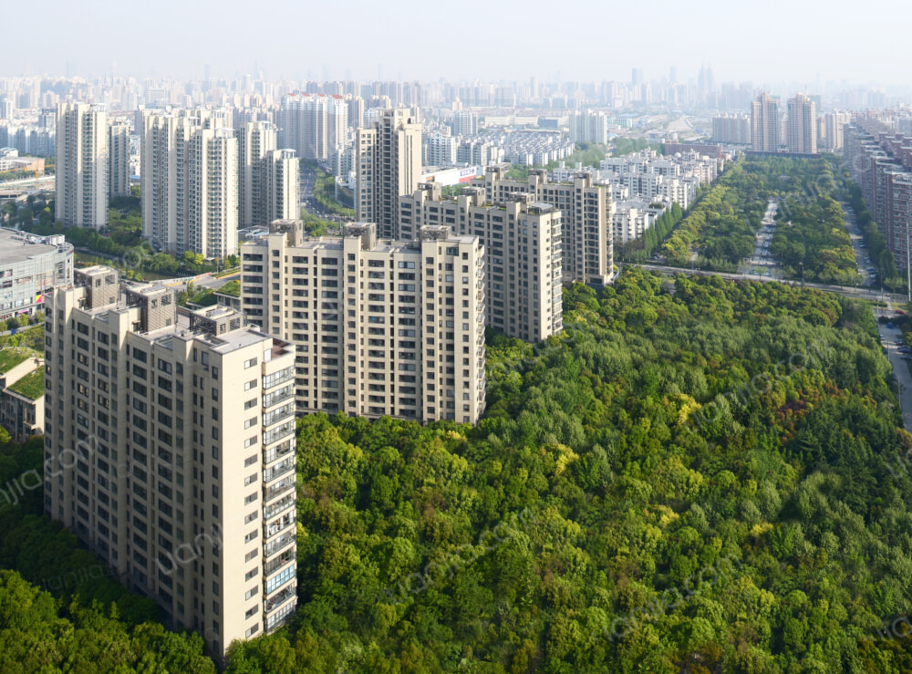 中鹰黑森林相册