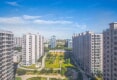 瑞雪春堂2