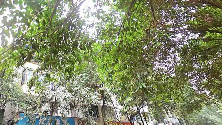 吉祥街14号外景图