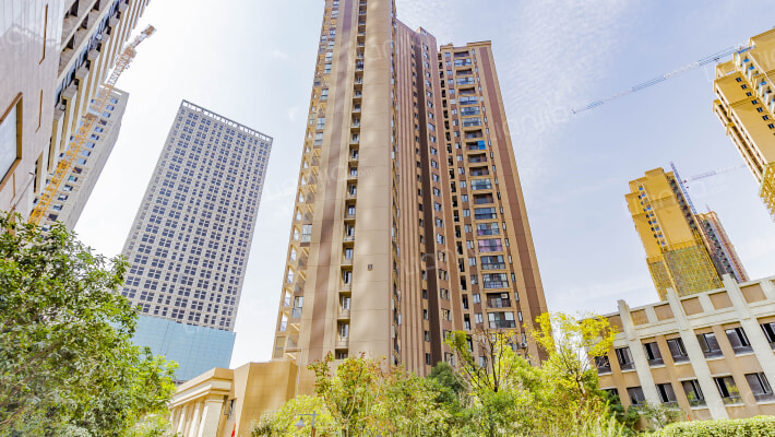 欣隆壹号公馆外景图