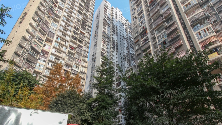 新桥新都外景图