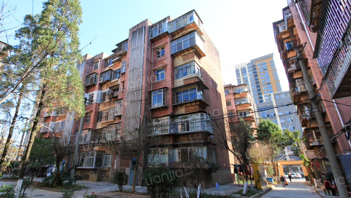 菱角塘小区东区外景图