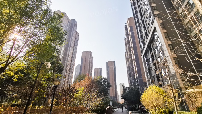 大丰真境外景图