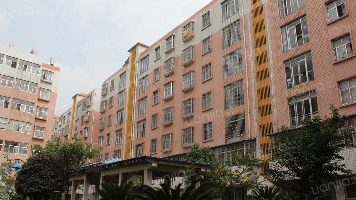 东菊新村外景图