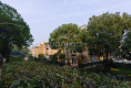 大洋彼岸17