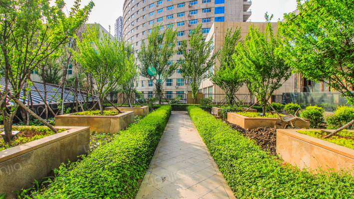 嘉禾雅居外景图