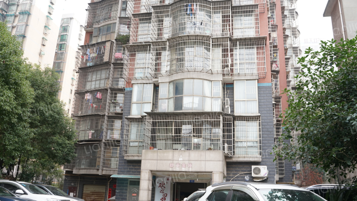 都市金领外景图