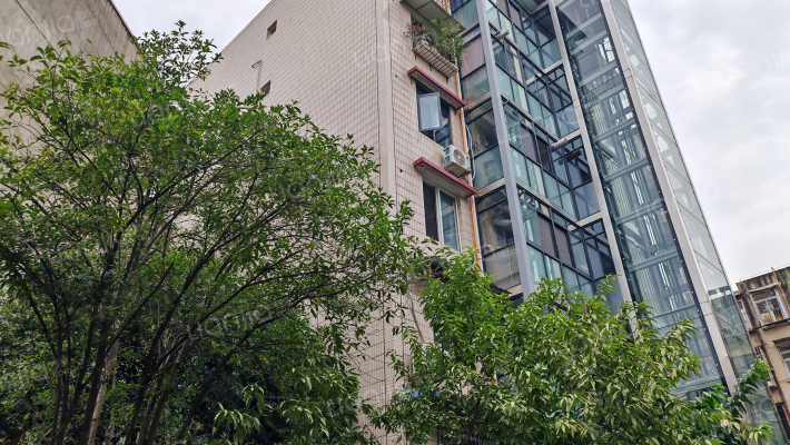 龙泉中街37号外景图