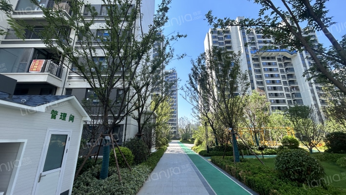 鑫马·齐鑫合著外景图