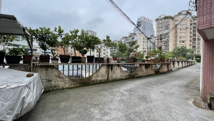 山林巷5号外景图