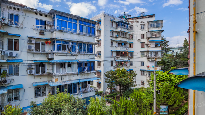 水心住宅区杏组团外景图