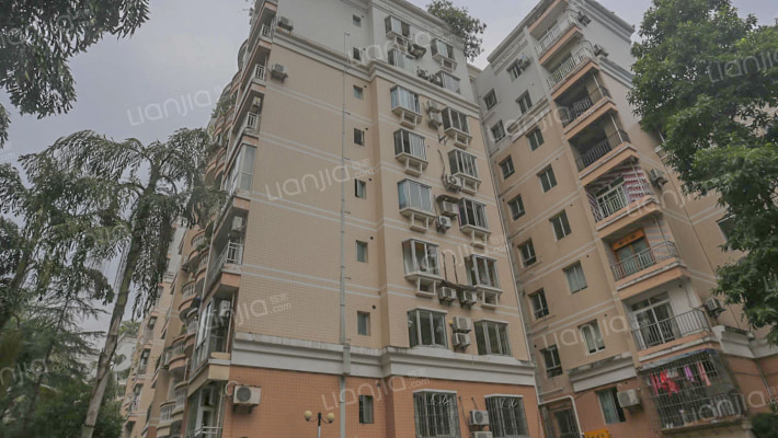 龙凤花园外景图