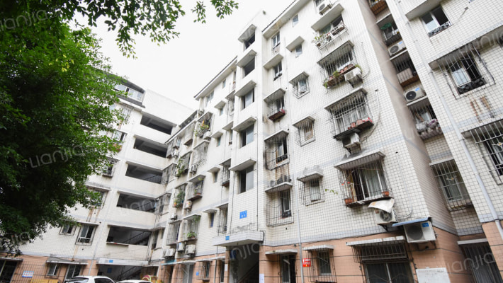 张家沟还建房外景图