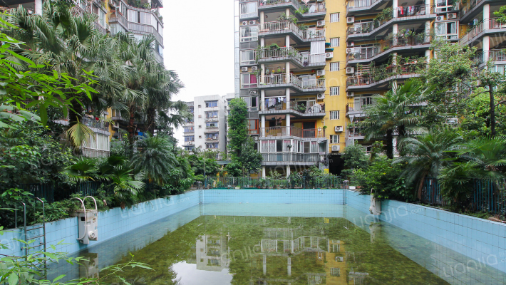 流星花园外景图